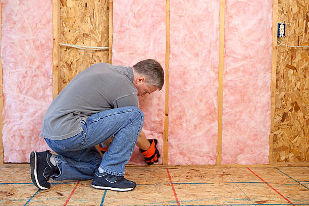 Best Residential Insulation in Dimmitt, TX