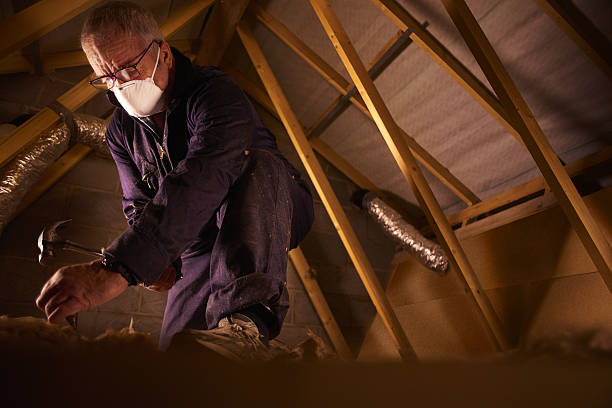 Best Insulation for Specific Applications in Dimmitt, TX